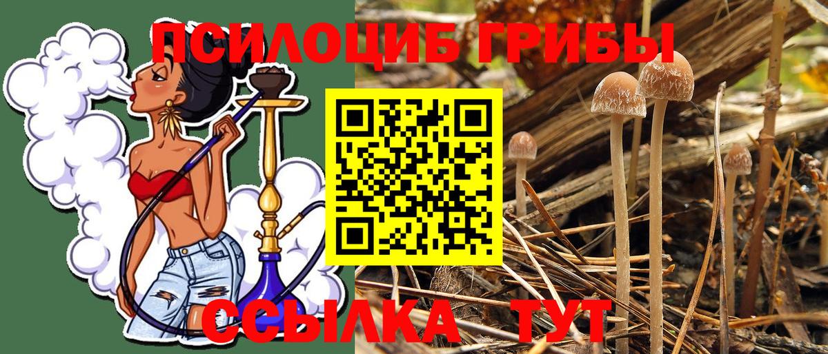 Псилоцибиновые грибы GOLDEN TEACHER  Артём 