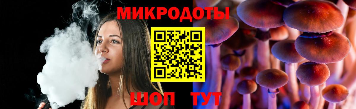 Псилоцибиновые грибы Psilocybine cubensis Артём